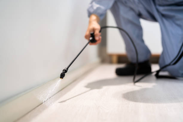 Licensed Cockroach Control service in Groesbeck, TX - Nex Pest Control