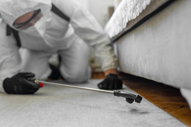 Professional Cockroach Control technician working in Groesbeck, TX