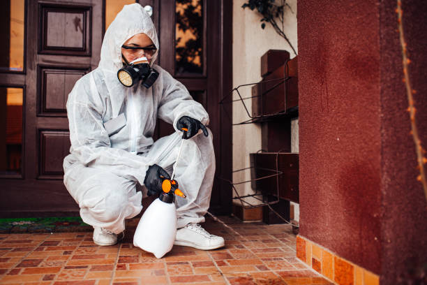 Reliable Cockroach Control contractor in Groesbeck, TX by Nex Pest Control