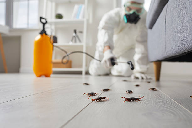 Affordable Cockroach Control solutions in Groesbeck, TX
